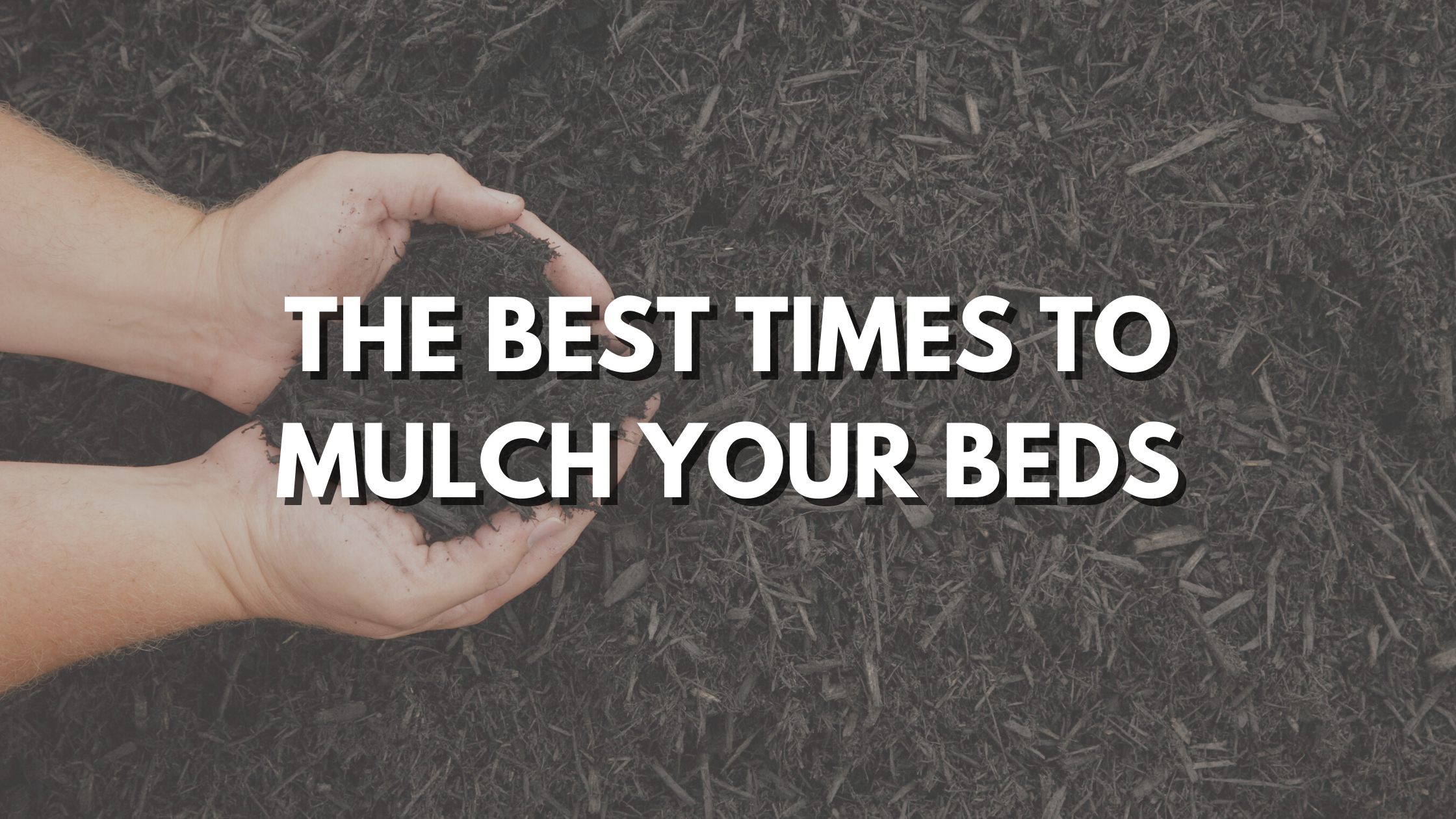 the best time to mulch your beds.png